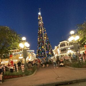 IMG_6529.JPG