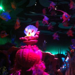 IMG_1502.JPG