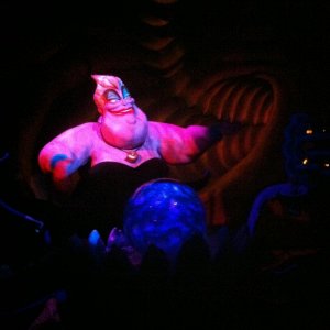 IMG_1503.JPG
