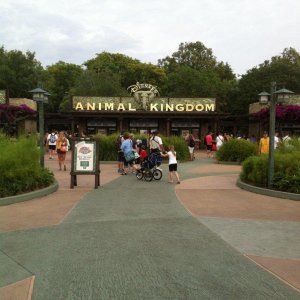 IMG_1535.JPG