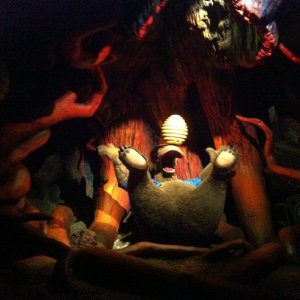 IMG_2263.JPG