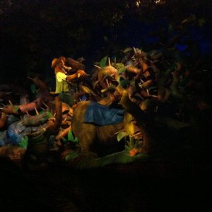 IMG_2271.JPG