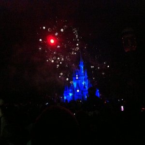 IMG_2309.JPG
