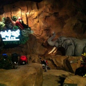 IMG_2573.JPG