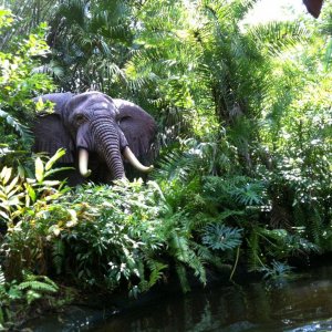 IMG_2688.JPG