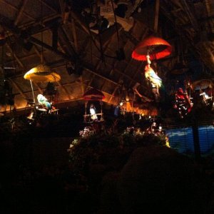 IMG_2698.JPG