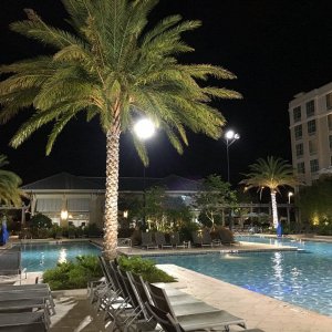 IMG_8743.JPG