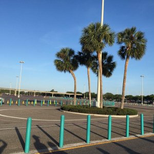 IMG_8755.JPG