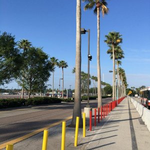 IMG_8832.JPG