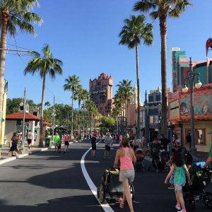IMG_8856.JPG