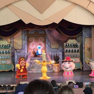 IMG_8878.JPG