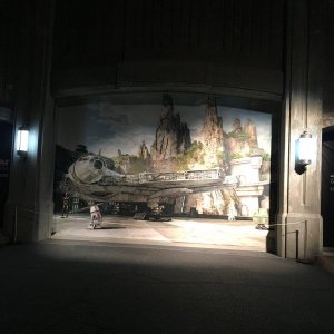 IMG_8916.JPG