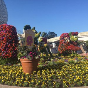 IMG_8927.JPG