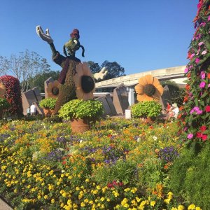IMG_8929.JPG
