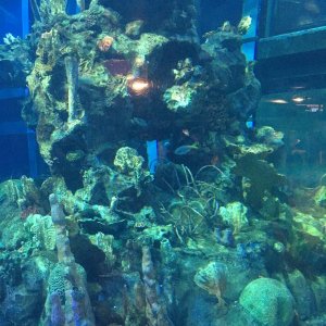 IMG_8938.JPG