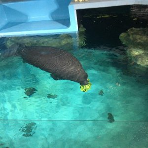 IMG_8939.JPG
