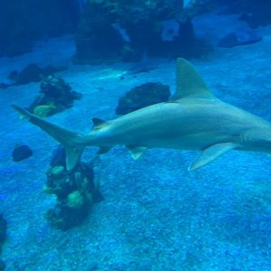 IMG_8944.JPG