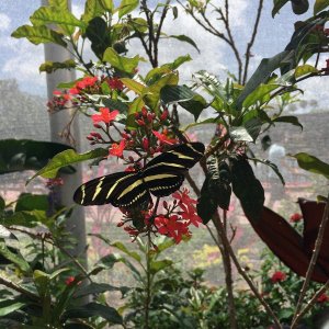 IMG_8994.JPG