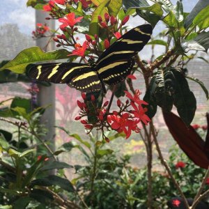 IMG_8995.JPG
