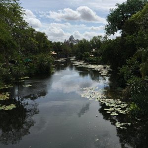 IMG_9097.JPG