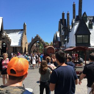 IMG_9435.JPG