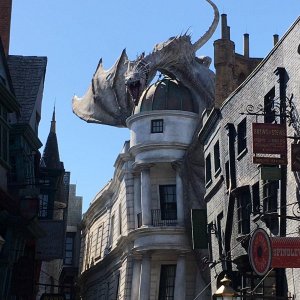 IMG_9508.JPG