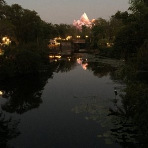 IMG_9662.JPG
