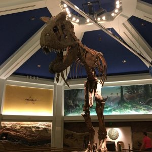 IMG_9673.JPG