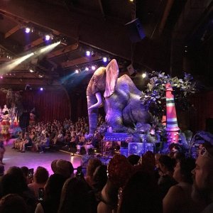 IMG_9688.JPG