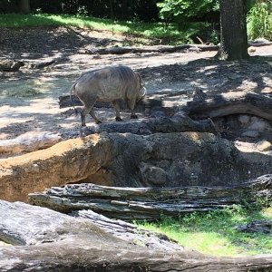 IMG_9732.JPG