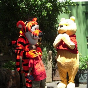 CIMG9750.JPG