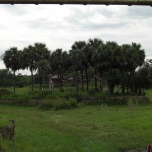 CIMG9929.JPG