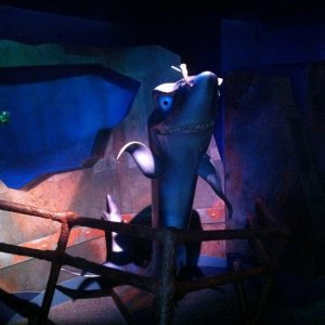 IMG_0050.JPG
