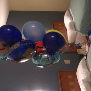 CIMG0280.JPG