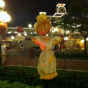 IMG_0245.JPG