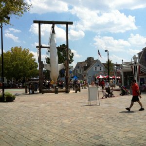 IMG_0373.JPG