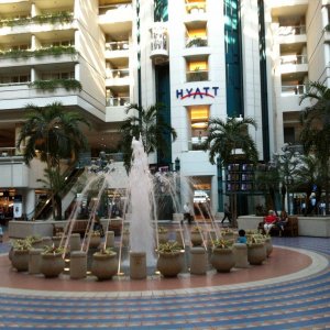 IMG_0646.JPG