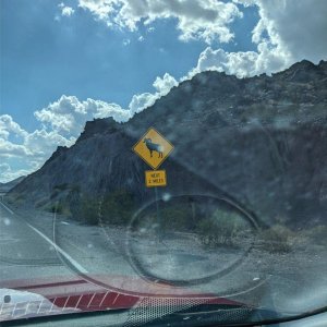 Road_to_Las_Vegas_03.jpg