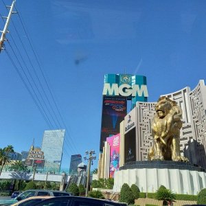 Road_to_Las_Vegas_10.jpg