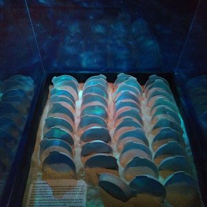Las_Vegas_Luxor_Titanic_49.jpg