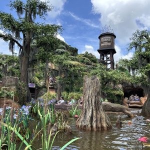 IMG_9991[1].JPG