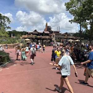IMG_9992[1].JPG