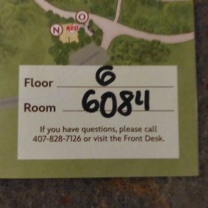 11.jpeg