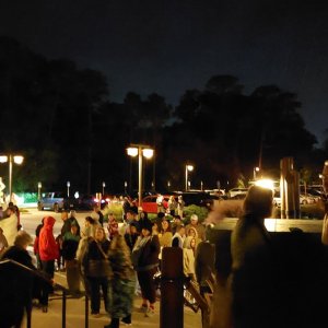 01.jpg