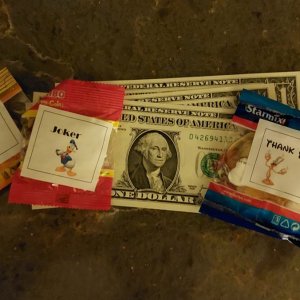 01.jpg