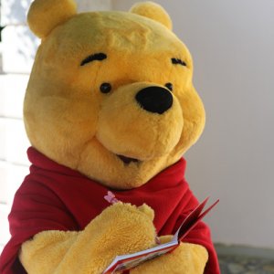 Winnie Pooh
