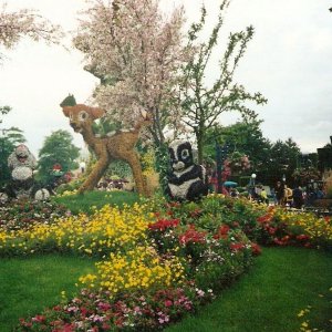 Beitrag 12 - Disneyfan92