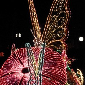 Fantillusion Parade (2)