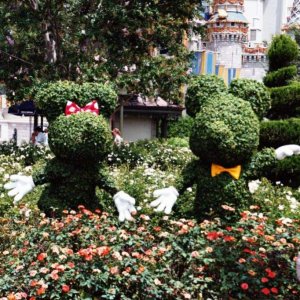 WDW 2006