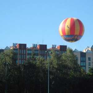 Disneyland Aug 2010 004
